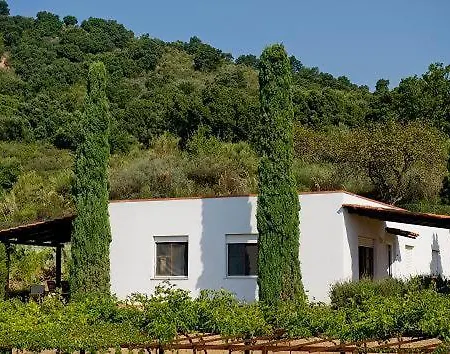 Resort Apartment- Bilo 5